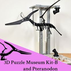 3D Puzzle Museum Kit- ea and Pteranodon Free STL file 3D Puzzle Museum Kit-B & Pteranodon・3D print model to download
