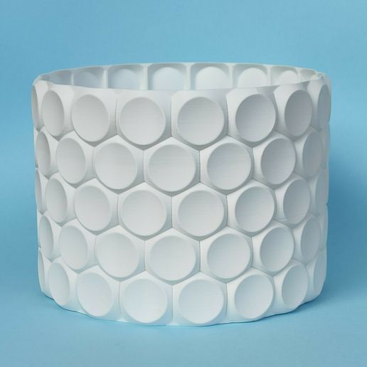 IMG_20240125_112832.jpg Maceta01