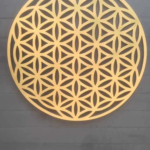 Giant flower of life