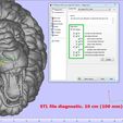 Fix-Wizard-Part-lion_head_STL_10cm-Diagnostics.jpg Lion head