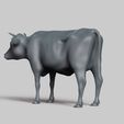 R04.jpg cow pose 03