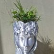 Foto de 2.jpg lady pot