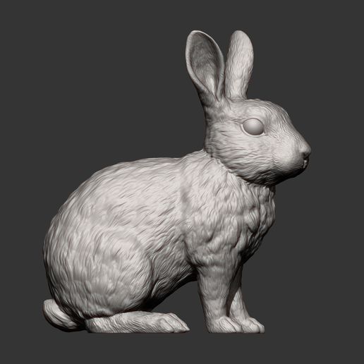 🐇 Rabbit rex agouti 3D print model・ 3D File for ・Cults