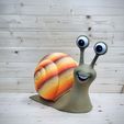 IMG_5858.jpeg Kevin the snail
