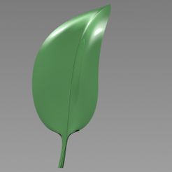 1.JPG leaf -soft