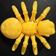 Niedliche Flexi Print-in-Place Spinne