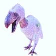 V77.jpg DOWNLOAD DINOSAUR DINOSAUR Terror DOWNLOAD Bird 3D MODEL Terror Bird Terror Bird ANIMATED - BLENDER - 3DS MAX - CINEMA 4D - FBX - MAYA - UNITY - UNREAL - OBJ - Terror Bird RAPTOR DINOSAUR RAPTOR DINOSAUR DINOSAUR 3D Terror Bird