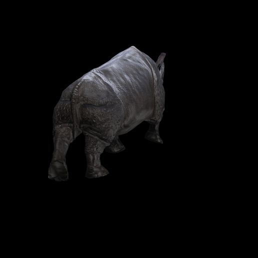 2.jpg Rhino Walk ANIMATED