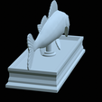 zander-statue-4-open-mouth-1-37.png fish zander / pikeperch / Sander lucioperca  open mouth statue detailed texture for 3d printing
