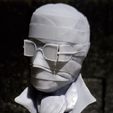 Invisible-Man_print2.jpg The Invisible Man - Classic Universal Monster Colection