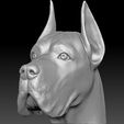 1.jpg Great Dane head for 3D printing