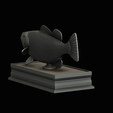 Peacock-Bass-statue-box-1-2-23.png fish Peacock bass (Cichla ocellaris) fish in motion base box for 3D printing