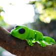 22.jpg MINI GECKO FLEXI SUPER SWEET (WITHOUT BRACKETS)🦎🦎