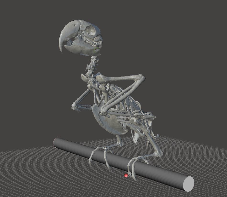 Unbenannt12.JPG Download STL file Macow Skeleton • Object to 3D print, HarryHistory