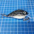 20201115_220910.jpg CrankBait 2.5"