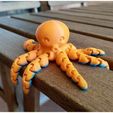 IMG_20190316_104054.jpg Cute Mini Octopus