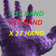 present2.png Hand collection X17