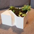 20181112_120439.jpg Flower pot cube staircase