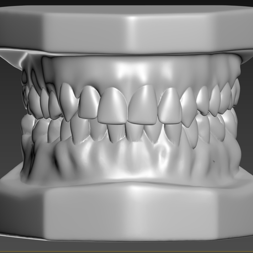 🦷 Teeth・ STL File for 3D printing・Cults