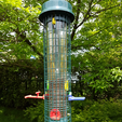 Perch1.png Squirrel Buster bird feeders upgrades