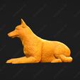 1722-Belgian_Shepherd_Dog_Malinois_Pose_09.jpg Belgian Shepherd Dog Malinois Dog 3D Print Model Pose 09