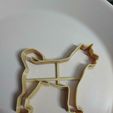 20240114_111649.jpg Akita Cookiecutter