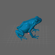 Blue-Poison-Dart-Frog-02.png 🐸 Blue Poison Dart Frog / Grenouille Flèche Bleue