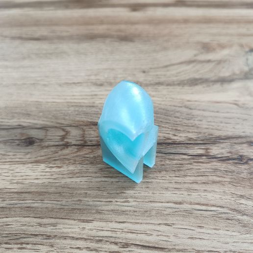 IMG20240623152205.jpg Aquarium water change hose holder & shower