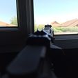 IMG_20220530_130749.jpg Mirini Airsoft