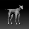 dog555_1.jpg Dog - cute dog - toy for kids - big dog for 3d print