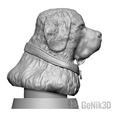 profil-1.png Saint Bernard Bust