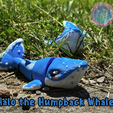 Halo-the-Humpback.png Cute Flexi Ocean Animal Bundle
