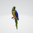 1.png Low Poly Parrot - Low Poly Parrot