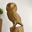 IMG_4648.heic.jpg Owl on tree Figurine and Ornament- No supports - 3mf Included