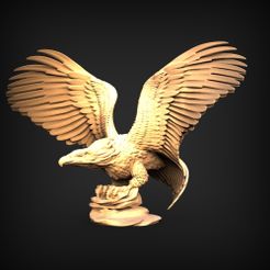 0241.jpg AIGLE SUR LE STAND