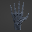 h3.png Hand muscle
