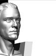 AVihor_0020_Layer 1.jpg Александр Вихор Александр Тарайковский зд бюст Alexandr Vihor Tarajkovsky 3d bust