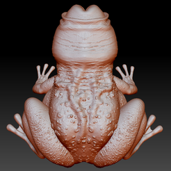 totoyfrog2.png Fichier STL Trust_me_its_a_Frog・Modèle à imprimer en 3D à télécharger