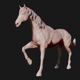 04.jpg American Quarter Horse model 3D print model