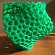 IMG_1715.jpg Voronoi Square Twist Vase