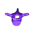 VertebralColumn21.stl Skeleton bones (244 bones teeth included)