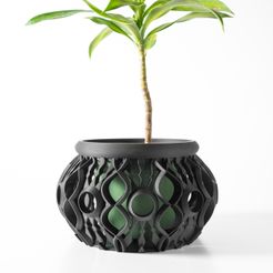 DSC04314.jpg The Lyren Planter Pot & Orchid Pot Hybrid with Drainage Tray: Modern and Unique Home Decor for Plants and Succulents