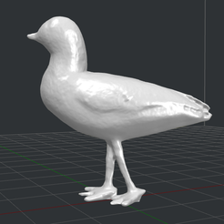 3_.png Bird realistic black-headed gull standing