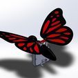 665.jpg butterfly