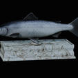 Salmon-statue-box-1-19.png fish sculpture of a Atlantic salmon / salmo salar with storage space / for 3d printing