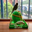 IMG_20220417_134021.jpg Love Birds House Bird house