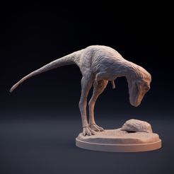 Juvenile_Trex_2.jpg STL-Datei Junger Tyrannosaurus・3D-druckbares Modell zum Herunterladen