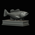 Peacock-Bass-statue-box-1-2-19.png fish Peacock bass (Cichla ocellaris) fish in motion base box for 3D printing