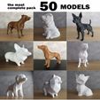 cults-Fotos-Pack-5.jpg PACK LOW POLY DOGS - 50 MODELS - THE MOST COMPLETE - COMMERCIAL LICENSE