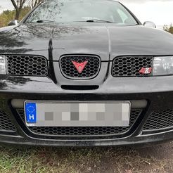 IMG_2188.jpg Seat Leon Toledo 1m 99-05. Front bumper upper outer honeycomb grille.